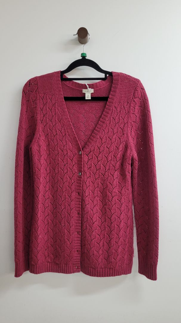 plum L.L.Bean Jumper, M