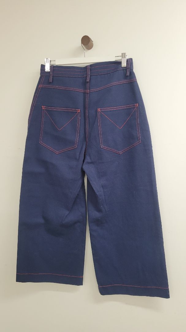 blue Ricochet Pants, 6